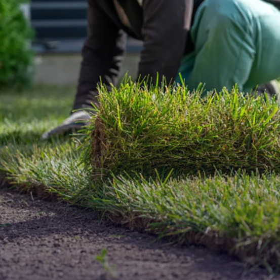 Landscaping Service in Sri Lanka