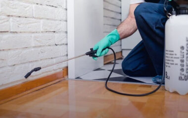 Pest Control Service in Sri Lanka