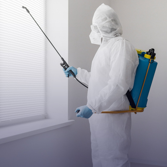 Pest Control Service in Sri Lanka Pest Control Service in Sri Lanka
